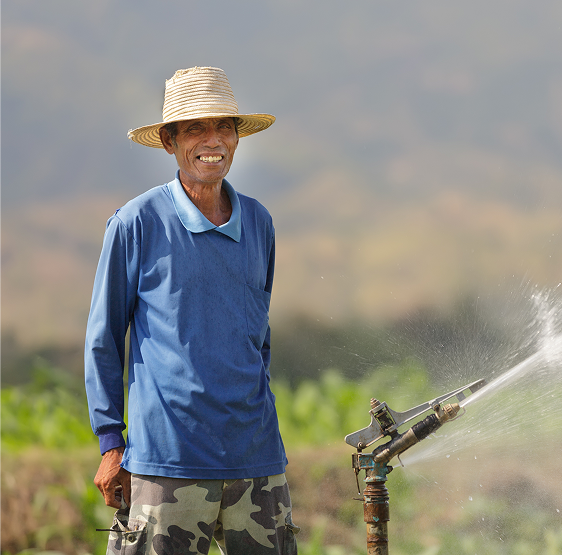 Bagaimana rantai lestari bekerja