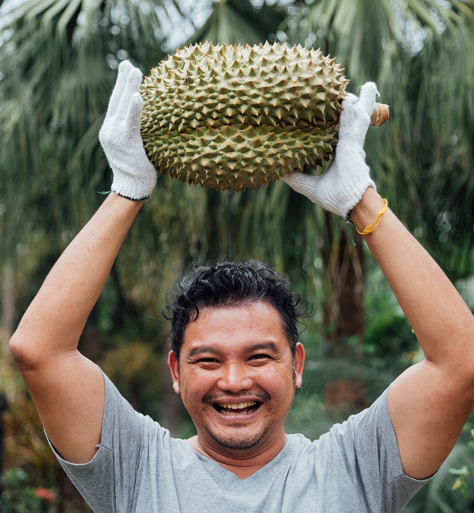 Apa itu rantai lestari