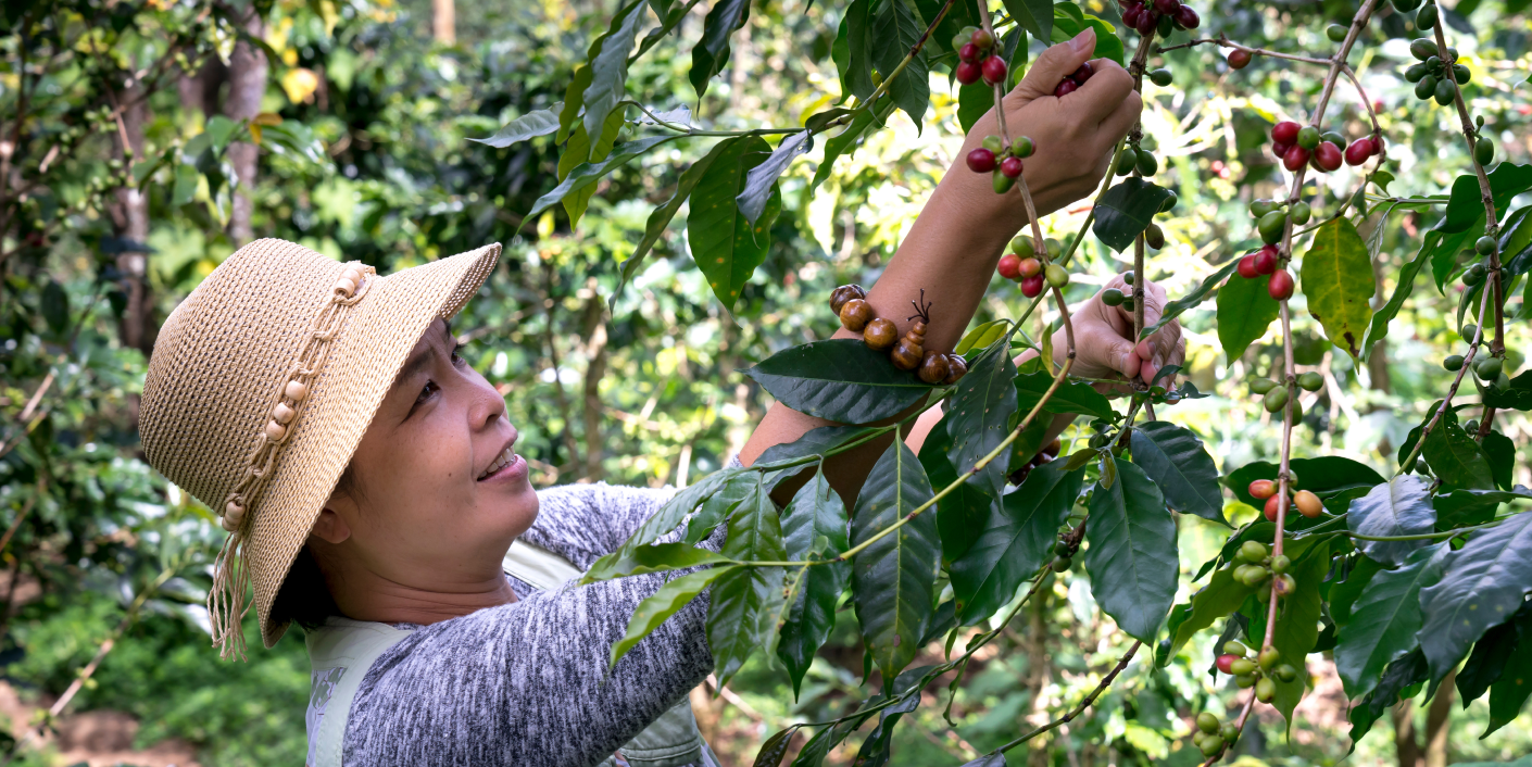 About us hero banner